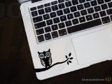 Night Owl on Branch Symbol Keypad Iphone Ipad Macbook Decal Skin Sticker Laptop