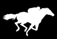 LLI Equestrian | Decal Vinyl Sticker | Cars Trucks Vans Walls Laptop | White | 7.5 x 4.3 in | LLI1288