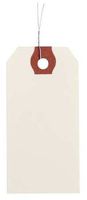 2-7/8" x 5-3/4" White Paper Wire Tag, Includes 12" Wire, Pk1000