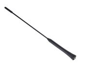 ACDelco 13222572 GM Original Equipment Radio Antenna