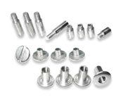 Pina Zangaro Screwpost Pack, Zinc (71304)