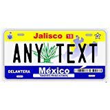 Jalisco Mexico Placas License Plate