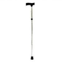 Folding Walking Cane Color: Silver