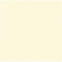Ivory Solid Supplies and Birthday Party Pack (Ivory Luncheon Napkins)