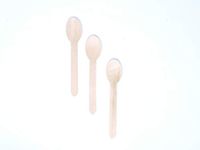 Palm Naki Bamboo Cutlery (40 Count) - Disposable Dinnerware, Compostable and Biodegradable Cutlery (Spoons)