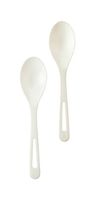 World Centric's 6-Inch Ice Cream Spoons - Made of Corn PLA (Case of 1000)