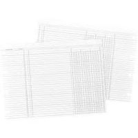 WLJN1D - Wilson Jones Balance Ledger Columnar Sheet