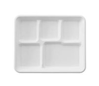 Sugarcane Bagasse Tray-Naturally Organic Eco-Friendly Biodegradable&Compostable, Paper&Plastic Alternative-10x8 inch 5 Compartment Tray (100)