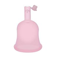 LWWOZL Menstrual Cup | Reusable Silicone Menstrual Cup | Leakproof Washable | Size Optional (Color : Pink, Size : 2.8×1.7in)