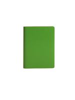 Paperthinks Mint Pocket Ruled Recycled Leather Notebook, 3.5 x 5-inches,PT90104