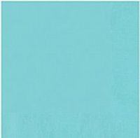 2 Ply Paper Beverage Napkins | 50ct (Robin's Egg Blue)