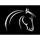 Horse Decal Vinyl Sticker|Cars Trucks Vans Walls Laptop| White |5.5 x 4 in|LLI409