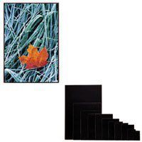 Itoya 5 x 7" Art Profolio ImagEnvelope, Poly-Glass Storage Envelope with Board