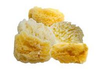 Aphrodite Natural Painting Sponges - Artist Paint Sponges Made of Natural Fibers Harvested in Greece Contaminate Free - [Value Pack #5 | Five Basic Natural Sponges]