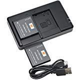 DSTE Replacement for 2X DMW-BLH7 Battery + Rapid Dual Charger with Micro USB Cable Compatible Panasonic Lumix DMC-GM1 GM1K GM5 GF7 GF7K DMC-LX10 DMC-LX15 Camera as DMW-BLH7E DMW-BLH7PP