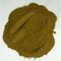 St John`s Wort Herb Powder 1lb(16oz)