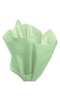 1pc, Premium 20 x 30 inch Light Green Tissue Paper