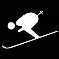 Chase Grace Studio Snow Skiing Snow Skis Vinyl Decal Sticker|White|Cars Trucks Vans SUV Laptops Wall Art|5.5" X 4"|CGS481
