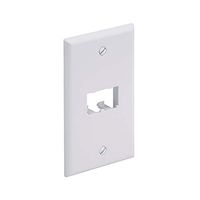 Panduit CFP2WH 1-Gang 2-Port Faceplate, White