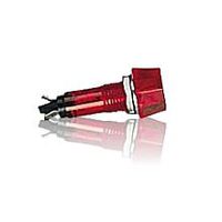 Red Neon 120VAC Lamp Assembly