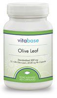 Olive Leaf (500 mg)