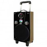 QFX PBX908100BK Port Tailgate Speaker, Black