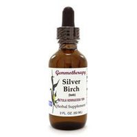 Silver Birch/Betula Verrucosa 2oz by BOIRON