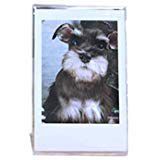 Stand Photo Frame for Fujifilm Instax Polaroid Mini Films