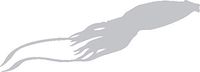hBARSCI Giant Squid Vinyl Decal - 5 Inches - for Cars, Trucks, Windows, Laptops, Tablets, Outdoor-Grade 2.5mil Thick Vinyl - Silver Gray