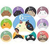 Baby Monthly Stickers | Cat Baby Stickers | Babys First Year 12 Monthly Milestone Stickers Plus 12 Holiday and Special Occasion Stickers