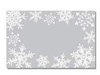 Silver and White Snowflakes Gift Note Cards with Envelopes and Gold Seal -25pack Set