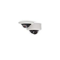 Arecont Vision AV2245PM-D-LG Camera