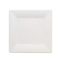 SpecialT Bagasse Plates Compostable Plates 10 Inch Square Disposable Plates White Natural Paper Plates 100-Pack