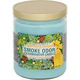 Smoke Odor Exterminator 13oz Jar Candles (Sparkling Juniper, 2)