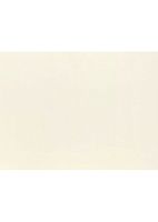 #17 Mini Flat Card (2 9/16 x 3 9/16) - Natural (250 Qty.) | Perfect for Personal Stationery, Business Correspondence, Invitation Inserts, and More! | LEVC933-250