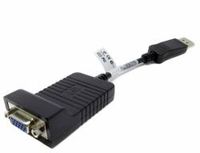 HP Display Port To VGA Adapter 20cm Long, 753745-001 (20cm Long)
