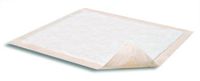 Dri-Sorb Plus UFP-236 Underpads, Pack of 10