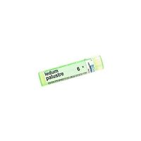 Boiron Ledum Palustre, 6X, Green, 80 Count