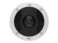 AXIS M3058-PLVE Outdoor 12MP PANO PERP
