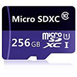 Generic 256GB Micro SD SDXC Class 10 Memory Card 256GB with Adapter(S40-LH256A-C4) (256 GB)