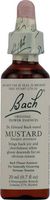 Bach Flower Remedies Essence Mustard -- 0.7 fl oz - 3PC