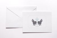 Roaring Hippos Stationery Note Card Set