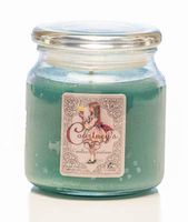Courtney's Candles Mystic Patchouli Maximum Scented 16oz Medium Jar Candle