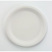 Chinet Classic Premium Strength 9-3/4" Paper Plates, 500 Plates (HUHVAPOR)