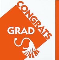 New Grad Lunch Napkins, Orange