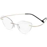 Photochromic Titanium Glasses Reader (Silver, 2.5)