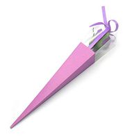 Takefuns 10 Pcs Artificial Rose Flower Packaging Gift Boxes Flowers Gift Bag Folding Wrap Box