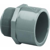 GENOVA PRODUCTS, 2 Sxmip Sch80 Pvc Male Adapter, EA