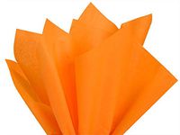 Coral Rose Pink Art DIY Crafts Tissue Paper for Gift Wrapping 20"X26" 5 Sheets