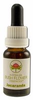 Jacaranda Individual Essences - 15 ml,(Australian Bush Flower Essences)